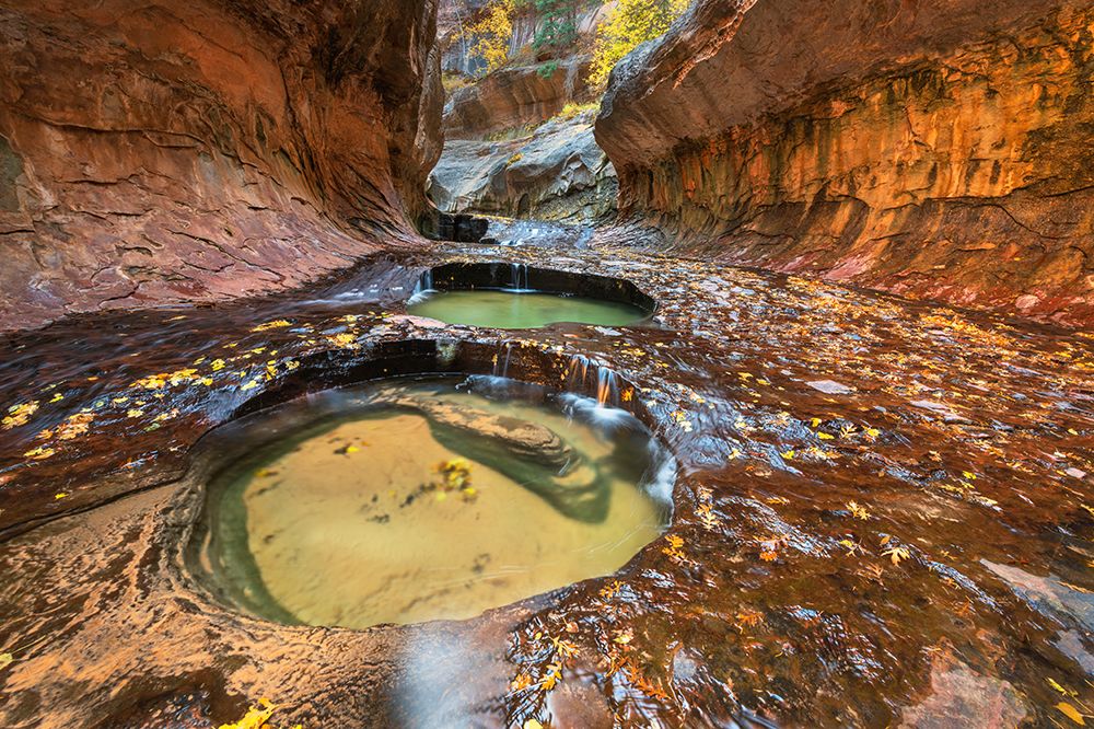 Emerald green pools in The Subway-Left Fork of North Creek-Zion National Park-Utah art print by Alan Majchrowicz for $57.95 CAD